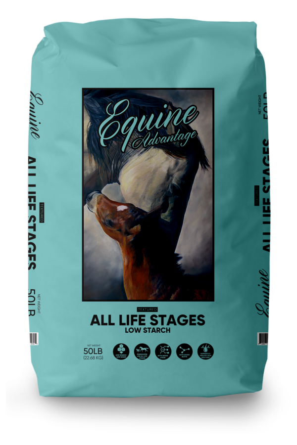 All Life Stages - Low Starch